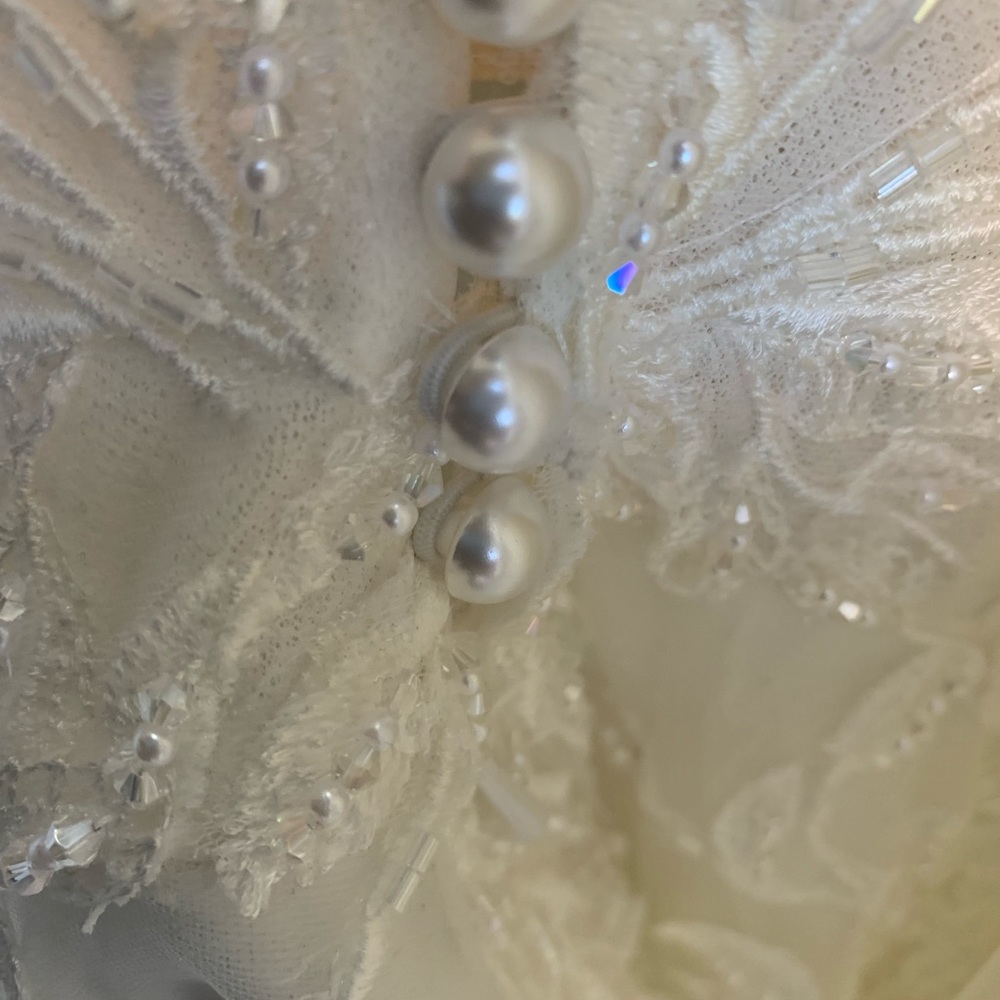 Beautiful Jana Ann Couture Wedding Dress - Picture 4 of 8